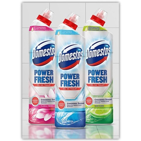 Płyn do WC Domestos Power Fresh 700ml Floral Fresh, FLORAL FRESH